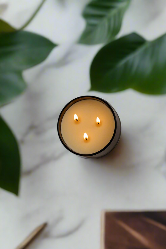 Lavender + Cedar - Signature 3-Wick Candle