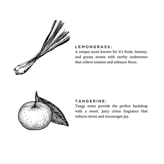 Lemongrass + Tangerine - Signature Candle
