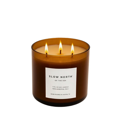 Of The Sea (Eucalyptus + Lavender + Peppermint) - Signature 3-Wick Candle