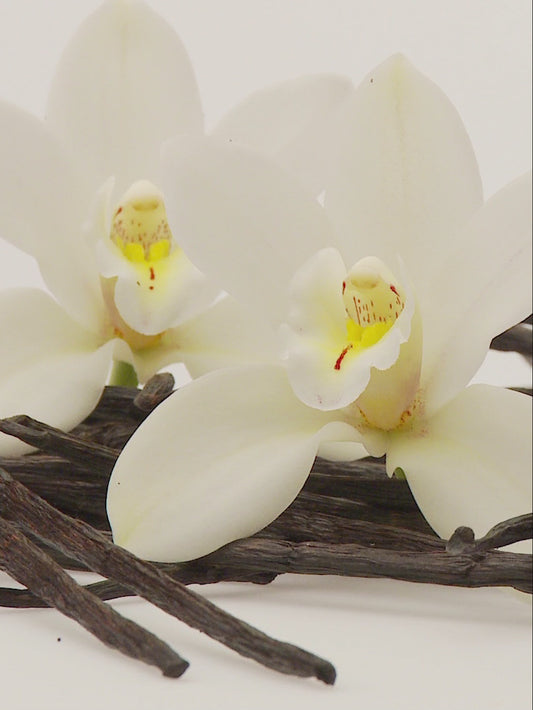 Sandalwood Vanilla